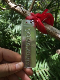 Hibiscus waimeae subsp. hannerae
