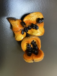 Pittosporum halophilum