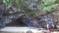 Kadua littoralis